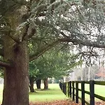 Bed & Breakfast Domaine Des Ifs Le Pin (Calvados)