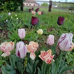 Domaine Des Ifs 3*