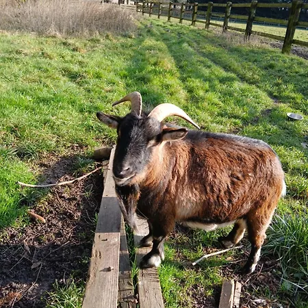 Domaine Des Ifs Bed & Breakfast