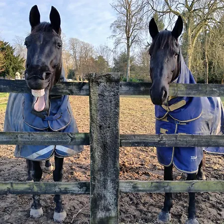 Domaine Des Ifs Le Pin (Calvados)