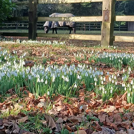 Domaine Des Ifs 3* Le Pin (Calvados)