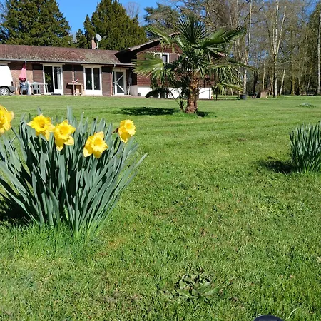 Bed & Breakfast Domaine Des Ifs *