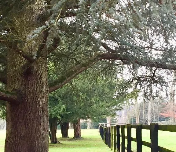 Bed & Breakfast Domaine Des Ifs Le Pin (Calvados)