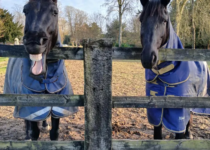 Domaine Des Ifs Le Pin (Calvados)