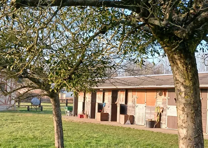 Bed & Breakfast Domaine Des Ifs 3*