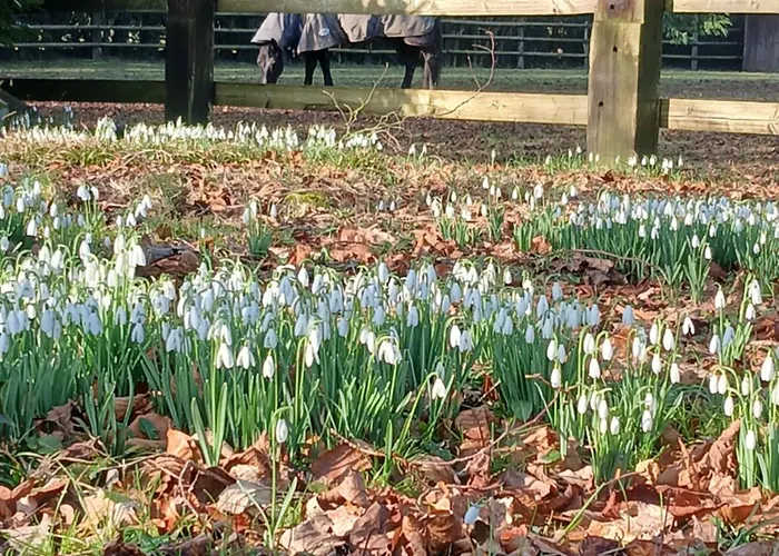 Domaine Des Ifs 3* Le Pin (Calvados)