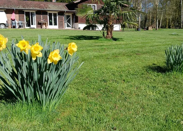 Bed & Breakfast Domaine Des Ifs 3*