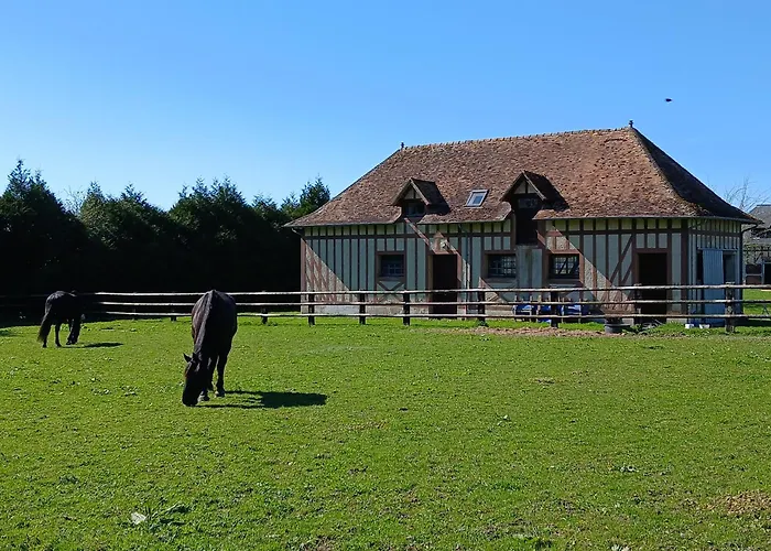 Bed & Breakfast Domaine Des Ifs